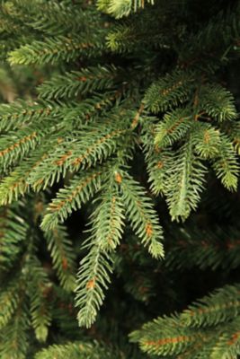 送料無料】ツリー／155cmハリソン | Edelman/エーデルマン